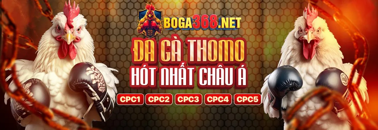 Đá gà trực tuyến kịch tính và link game tài xỉu uy tín